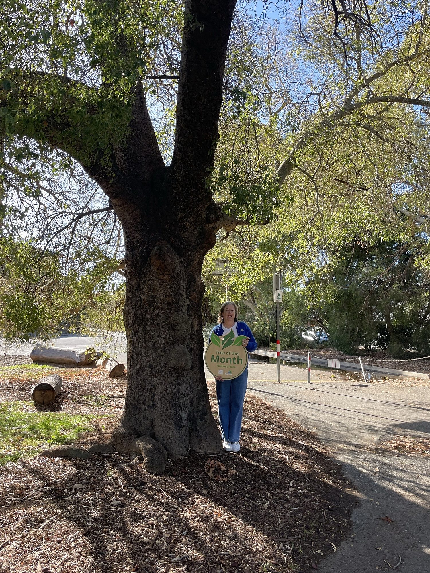 June Tree of the Month