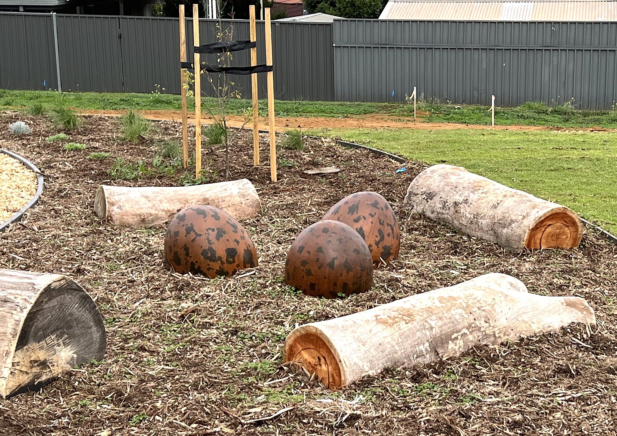 Lapwing reserve website eggs