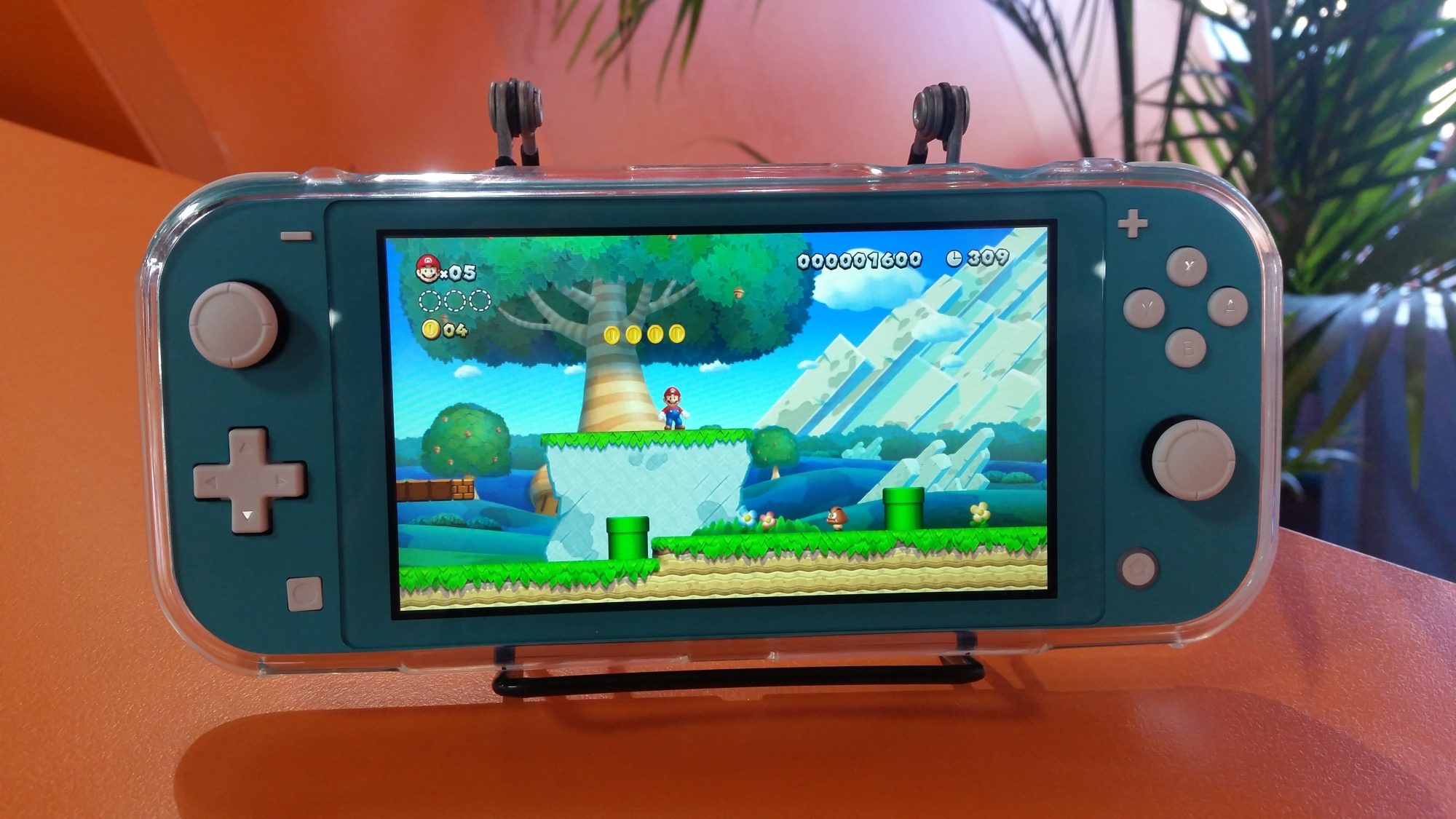 Libraries-Nintendo-Switches