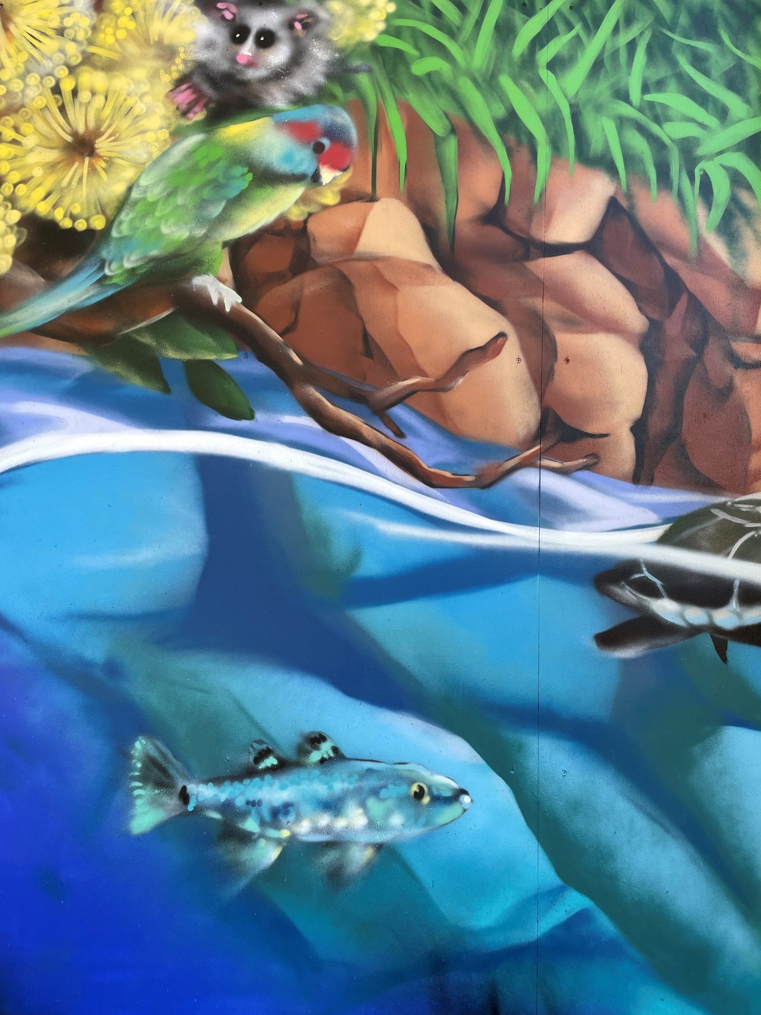 Life from above and below detail Possum