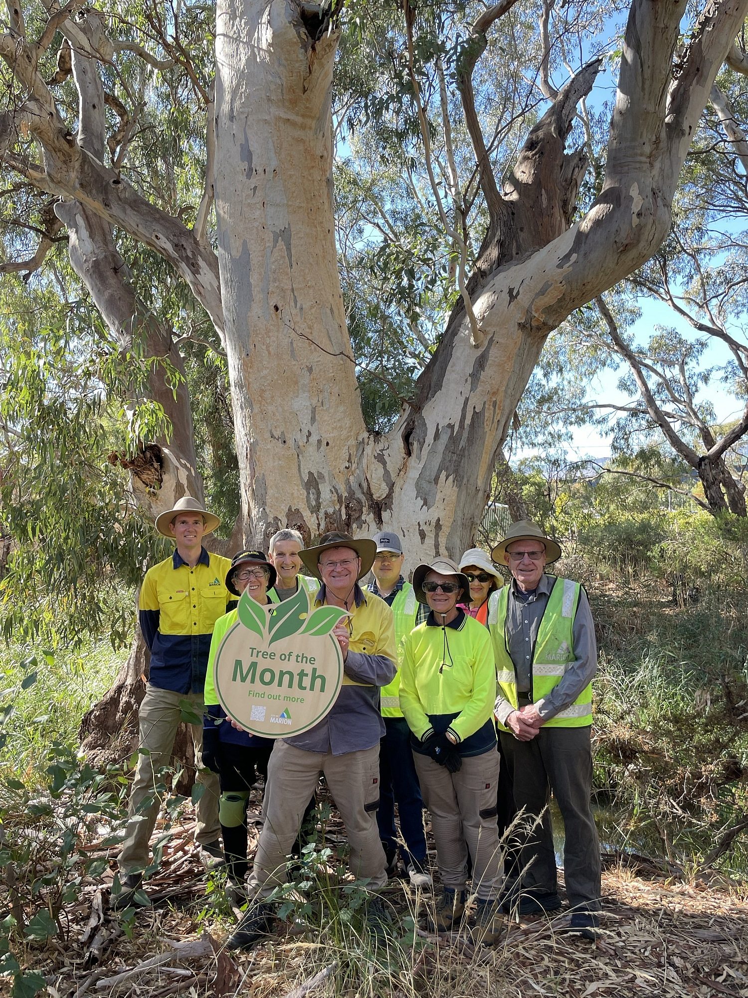 May Tree of the Month