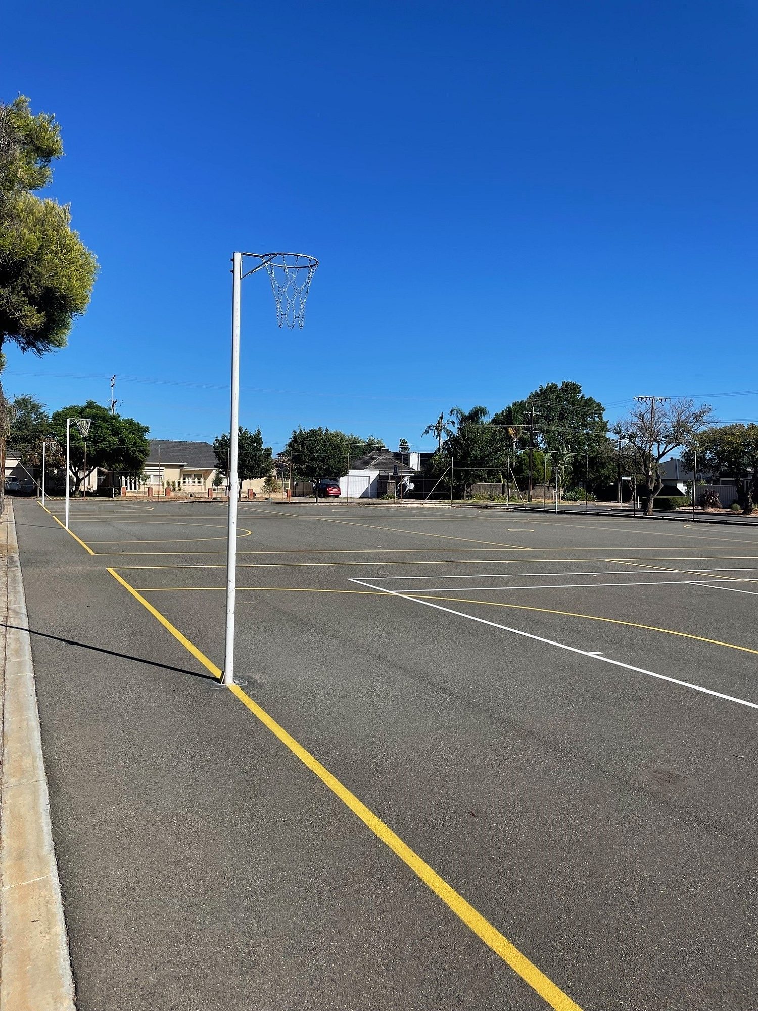 Netball courts