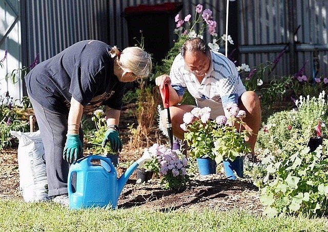 Oaklands Community Garden 2