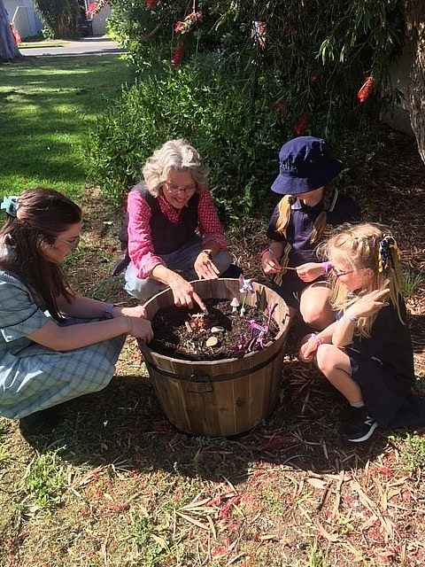 Oaklands Community Garden 3