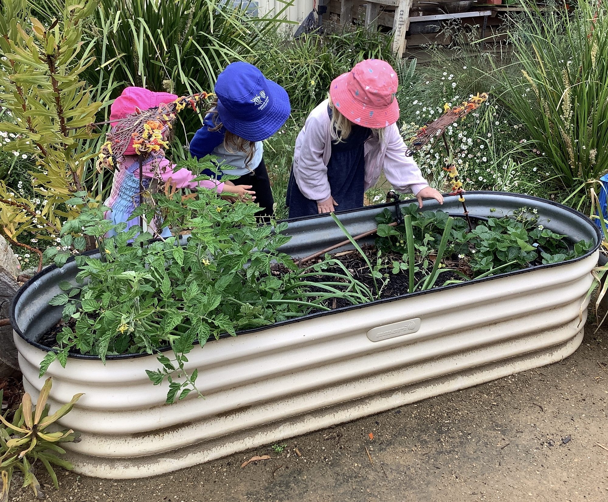 Oaklands Estate Kindy 2