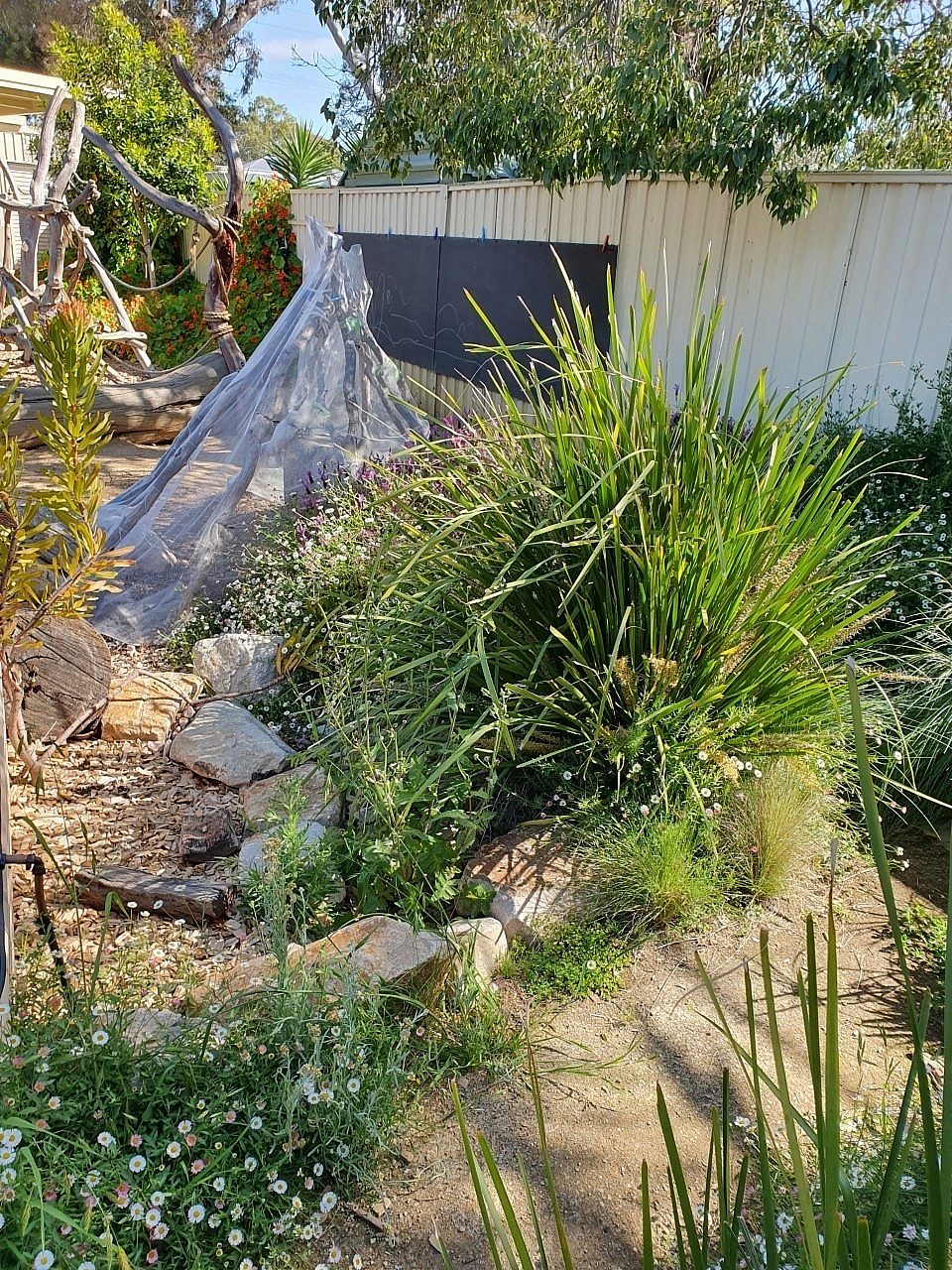 Oaklands Estate Kindy 3