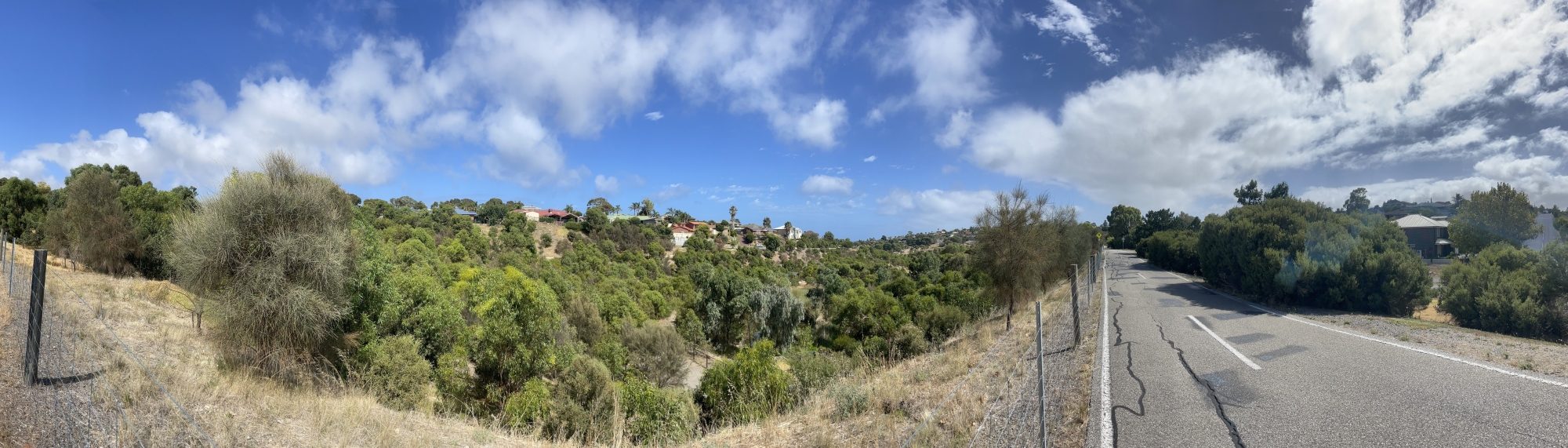 Panorama of walking trail