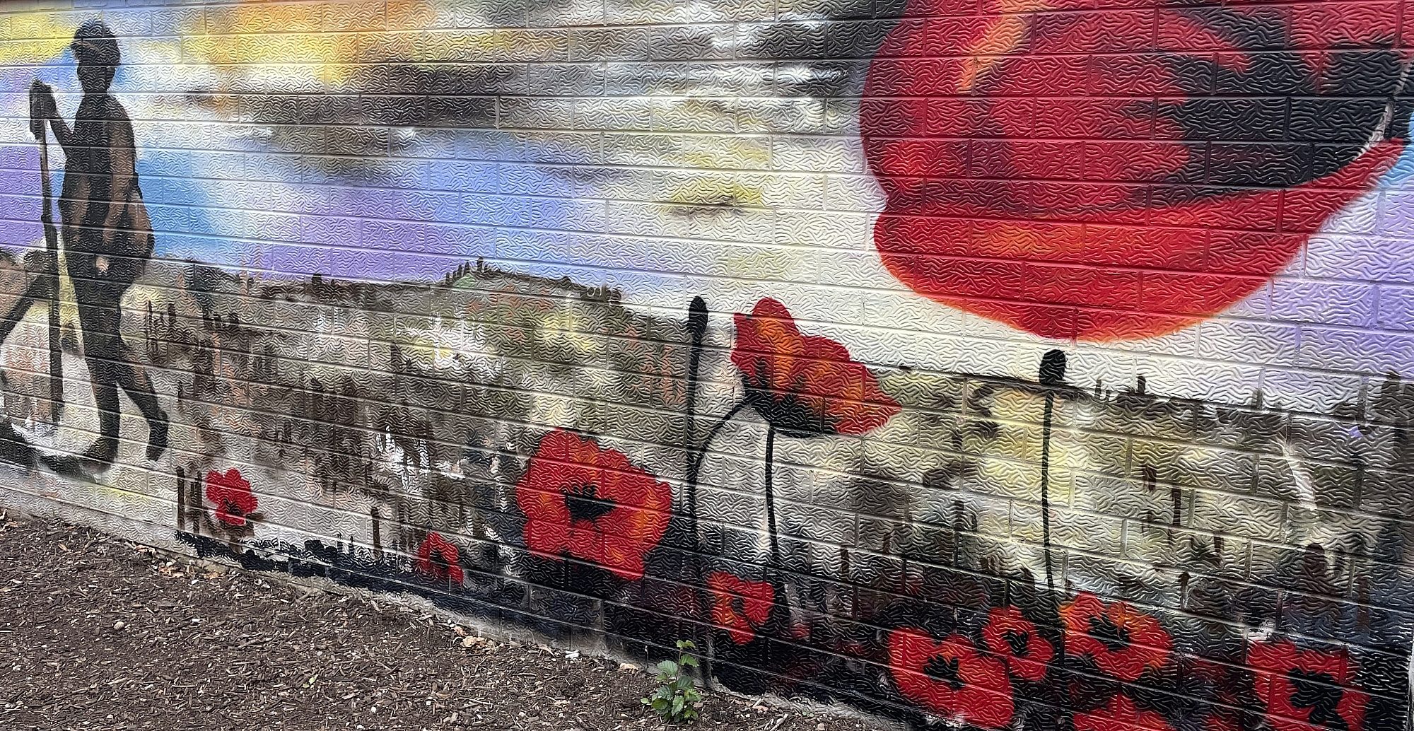 Poppies and soldier