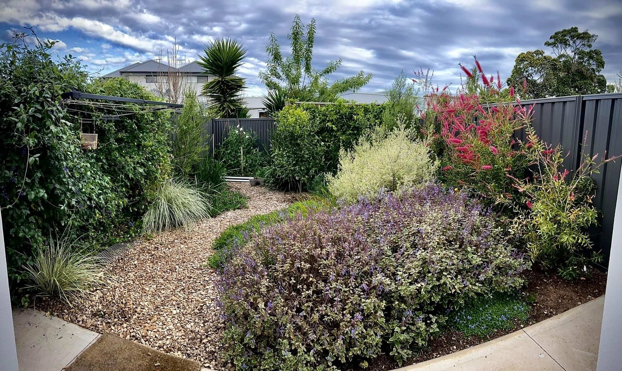 Solitude in the Suburbs 1