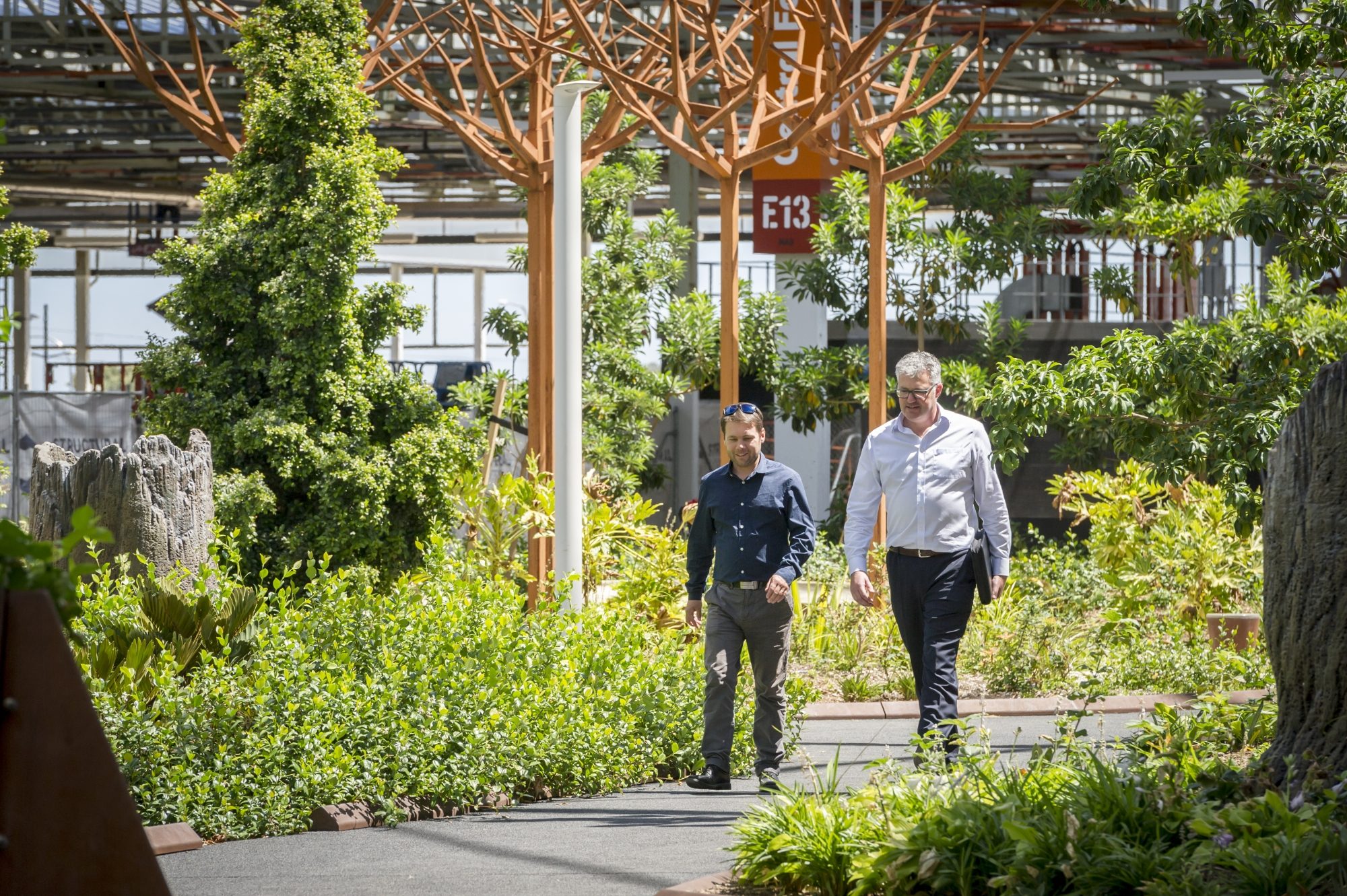 Tonsley Forest Image