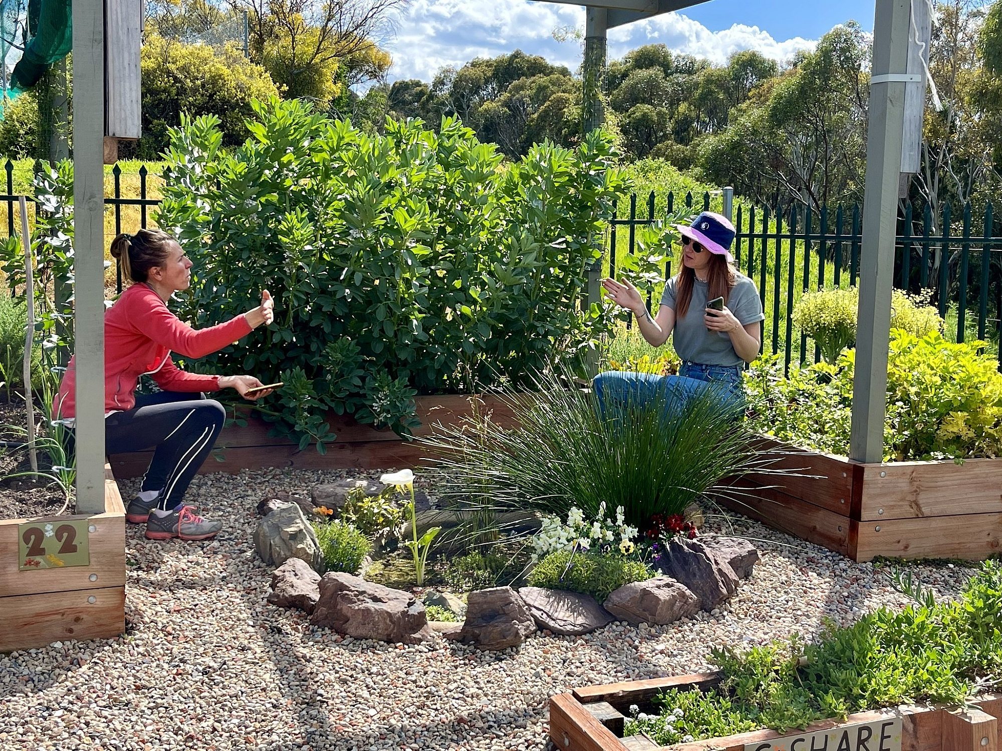Trott Park Community Garden 1