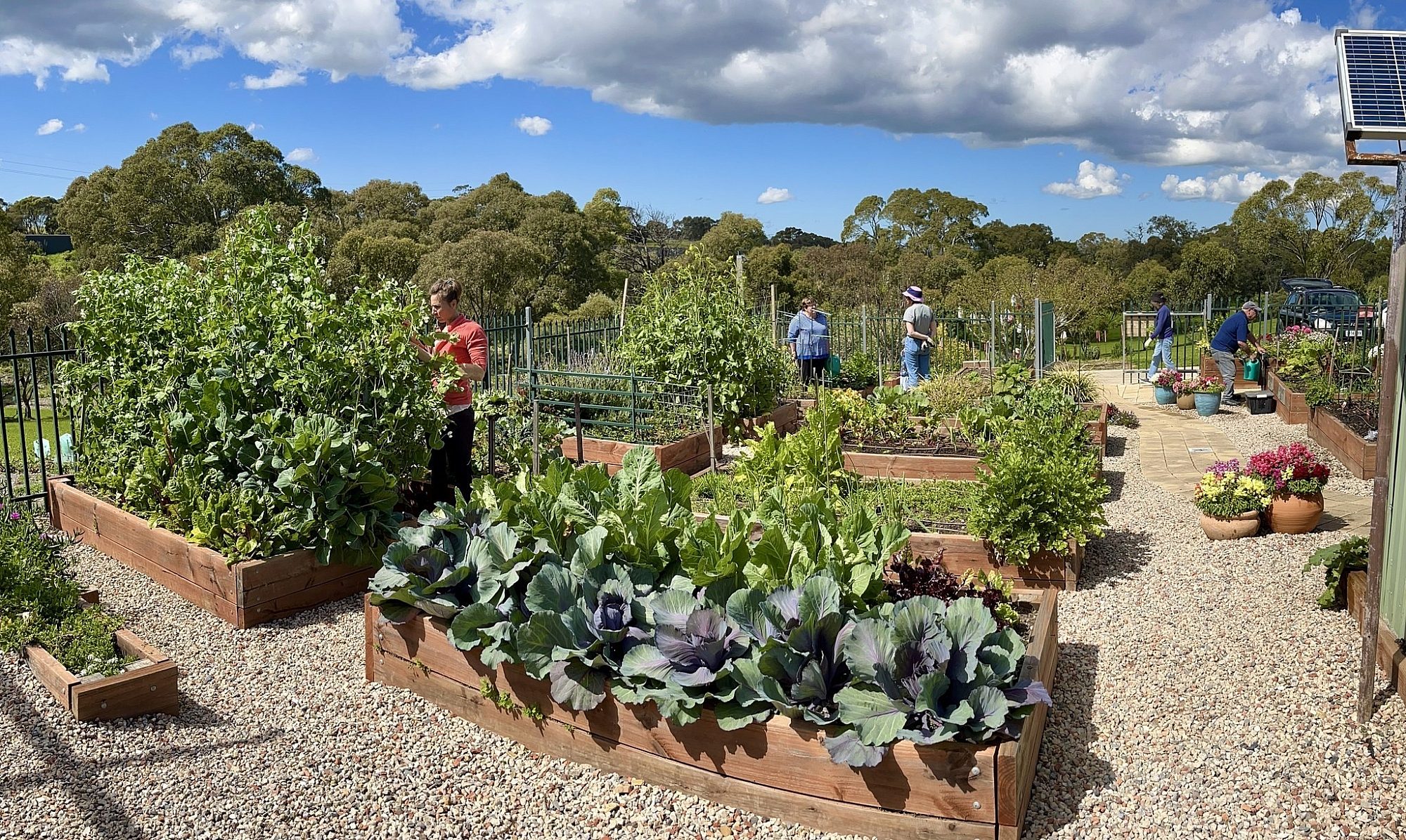Trott Park Community Garden 2