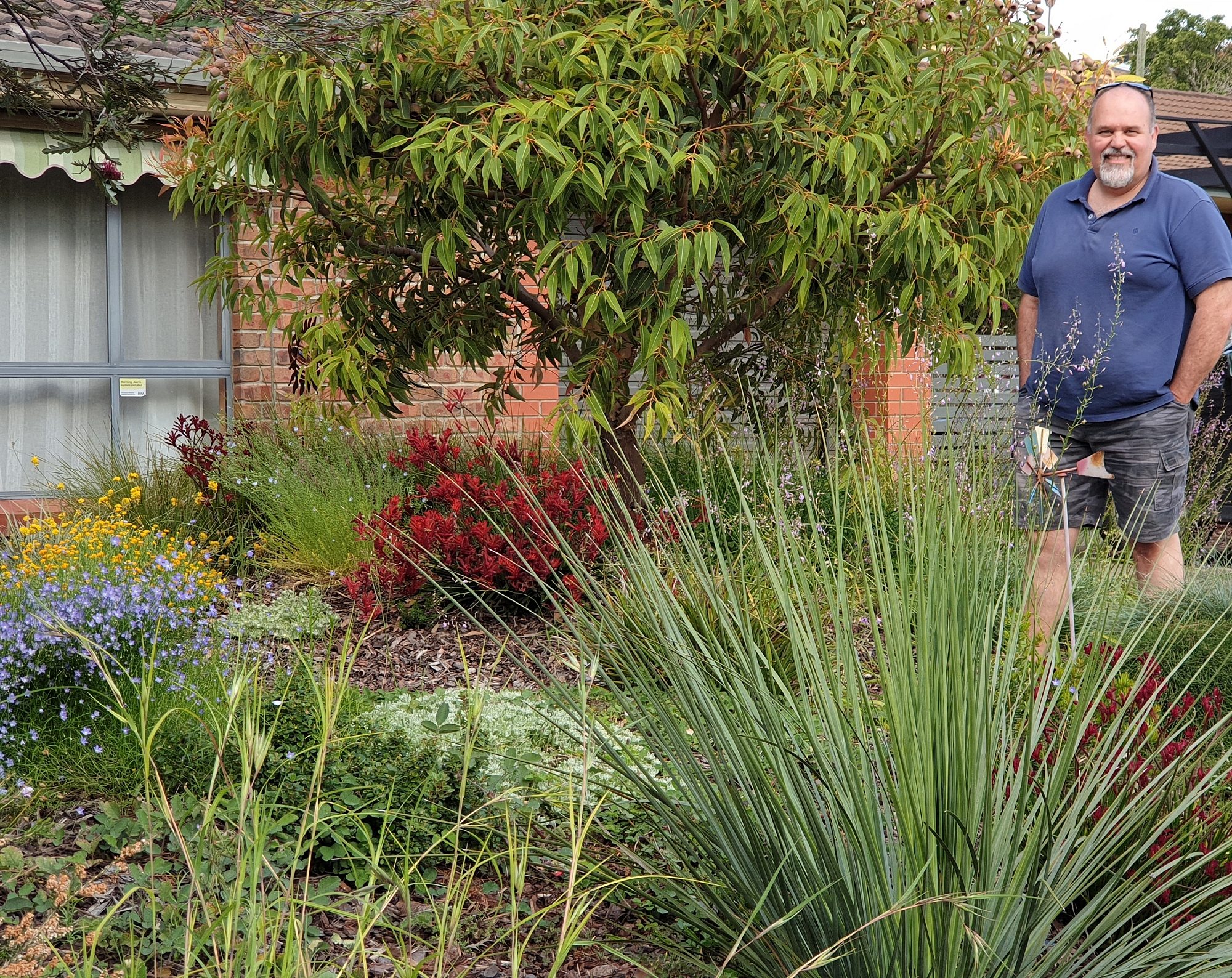 Wandilla Street Native Garden 3
